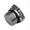 Blanking plug with profile sealing ring GP-PLEH-G11/2E-C21